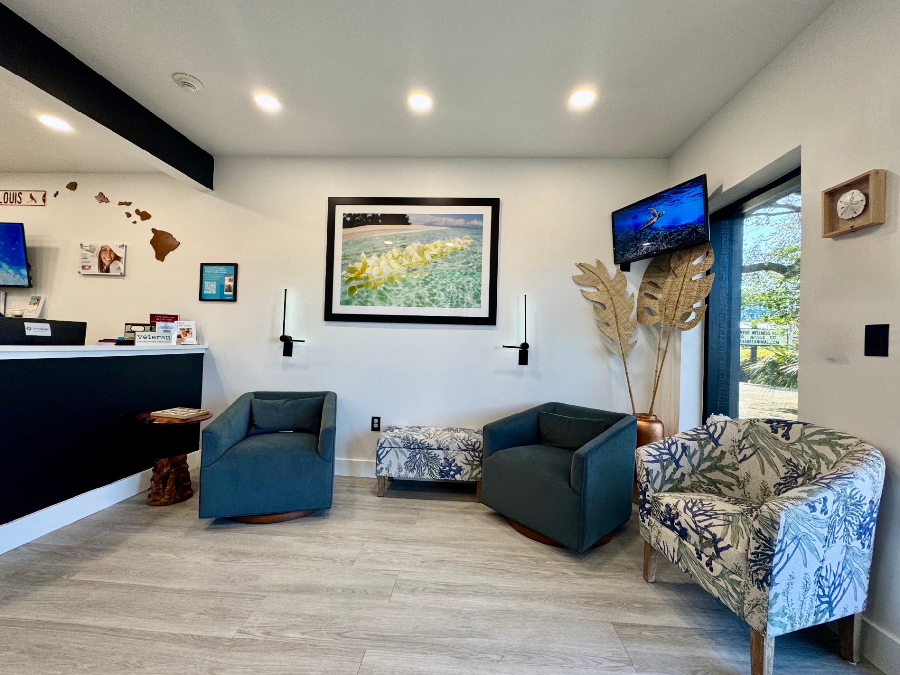Sand Dollar Dental lobby with coastal seating and tropical art